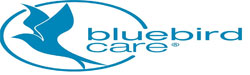 Domestic Services