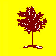 The Rowan Organisation
