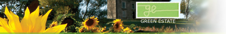 Green Estate Ltd=
